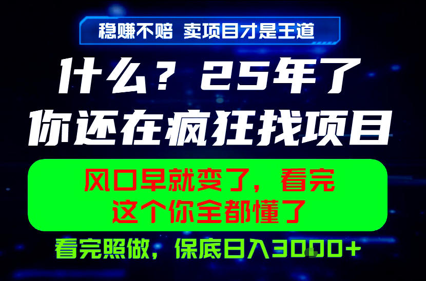 26年,请不要疯狂的找项目做了!卖项目才是真的稳賺不赔,看完照做,保底日入1k+【揭秘】-赛德副业库