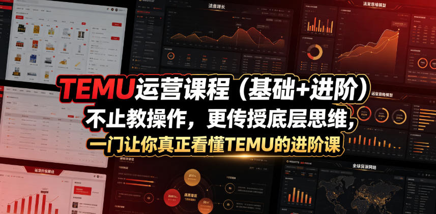 TEMU运营课程（基础+进阶），不止教操作，更传授底层思维，一门让你真正看懂TEMU的进阶课-赛德副业库