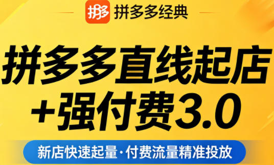 拼多多直线起店+强付费3.0，教你稳定起店、高效控投产、破解流量瓶颈（更新6月）-赛德副业库