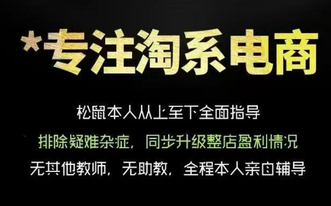松鼠会电商VIP课程，从基础布局到高阶优化，助你掌握淘宝运营逻辑，提升店铺流量与转化-赛德副业库