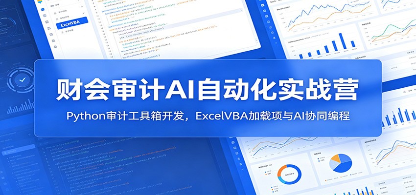 财会审计AI自动化实战营：Python审计工具箱开发，ExcelVBA加载项与AI协同编程-赛德副业库