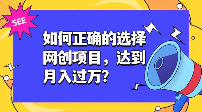 （19176期）如何正确的选择网创项目，达到月入过万？，本课程教你正确选择项目。-赛德副业库