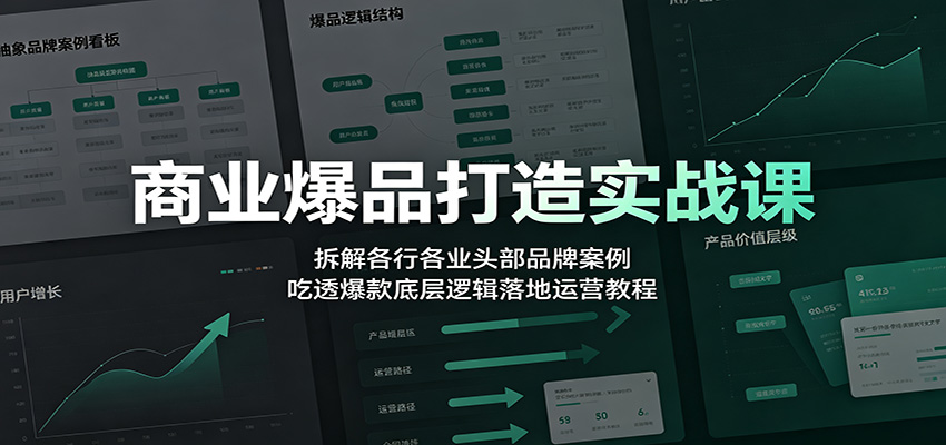 商业爆品打造实战课:拆解各行各业头部品牌案例,吃透爆款底层逻辑落地运营教程-赛德副业库