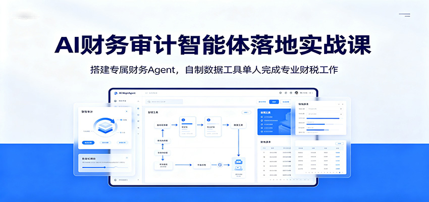 AI财务审计智能体落地实战课:搭建专属财务Agent,自制数据工具单人完成专业财税工作-赛德副业库