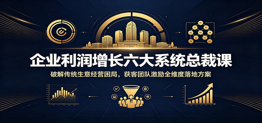 企业利润增长六大系统总裁课：破解传统生意经营困局，获客团队激励全维度落地方案-赛德副业库