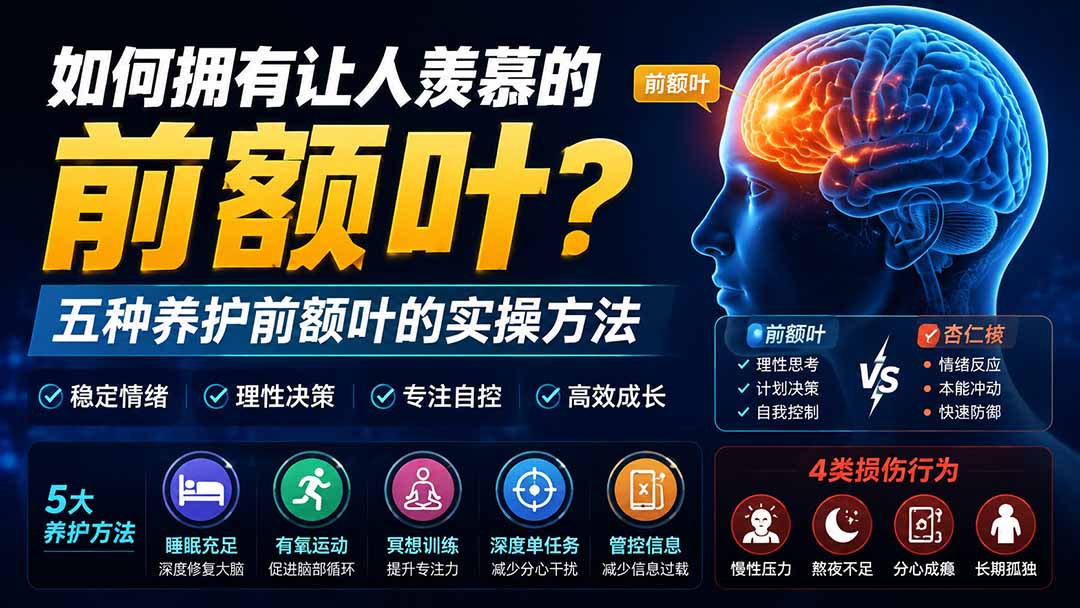 （19805期）付费文章：如何拥有让人羡慕的前额叶？五种养护前额叶的实操方法-赛德副业库