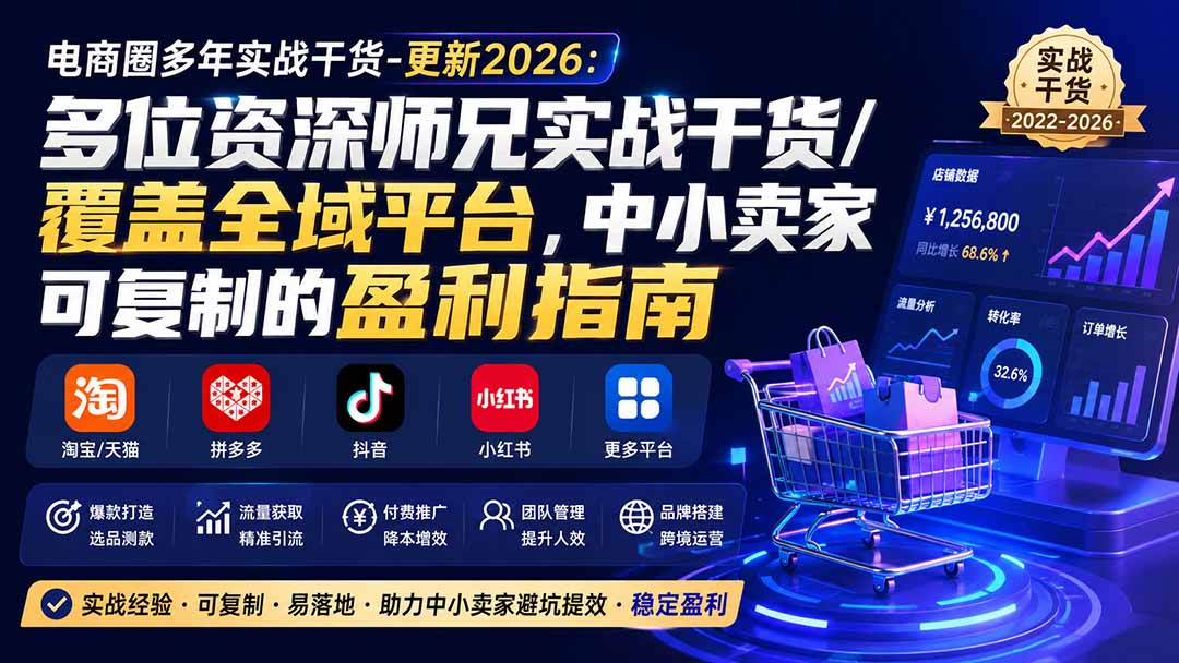 （20012期）电商圈多年实战干货-更新2026：多位资深师兄实战干货/覆盖全域平台，中小卖家可复制的盈利指南-赛德副业库