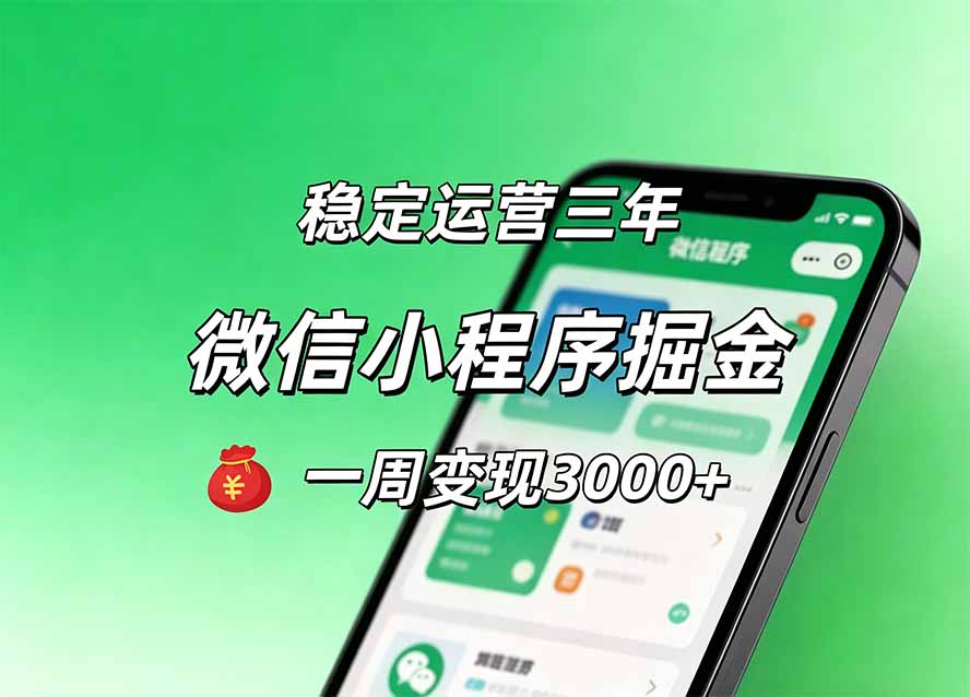 （20077期）月收益稳定1W+的微信小程序，前期积累客户，后期躺平养老，小白轻松上手-赛德副业库