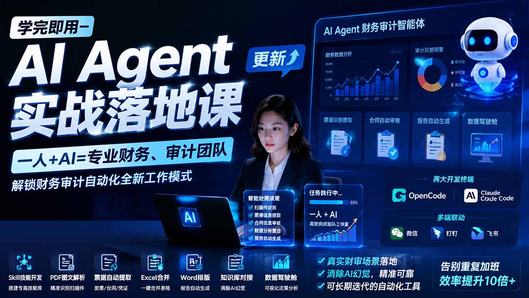 (19702期)学完即用—AI Agent实战落地课-更新:一人+AI=专业财务、审计团队,解锁财务审计自动化全新工作模式-赛德副业库
