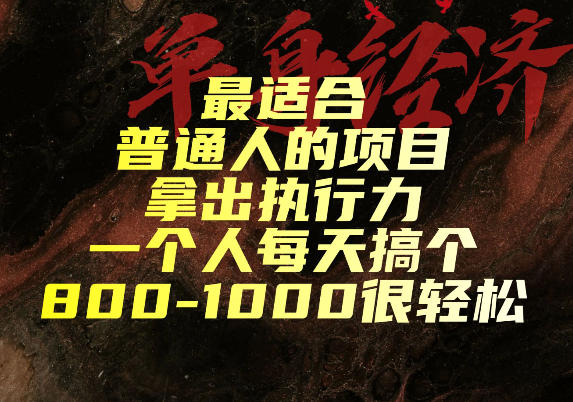 最适合普通人的项目,拿出执行力一个人每天搞个800-1k很轻松【揭秘】-赛德副业库