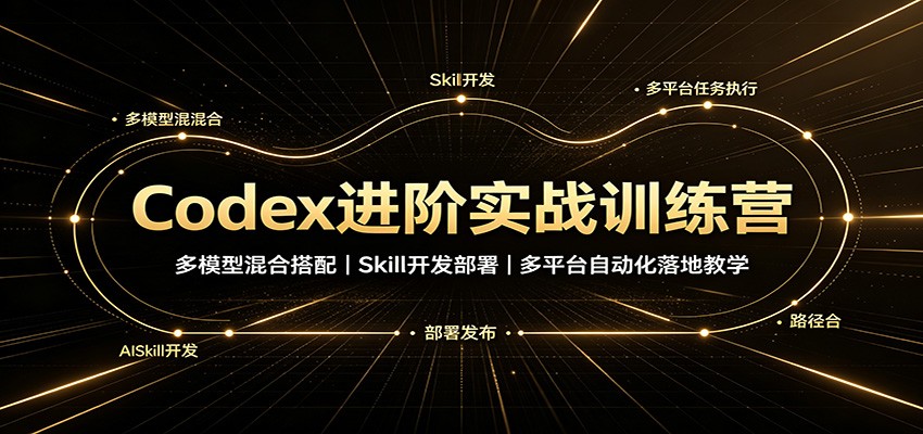 Codex进阶实战训练营:多模型混合搭配,Skill开发部署,多平台自动化落地教学-赛德副业库