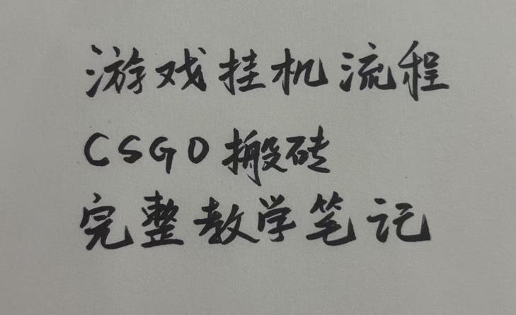 游戏挂G全流程笔记分享,CSGO游戏搬砖,小白看了当天学会见收益【揭秘】-赛德副业库