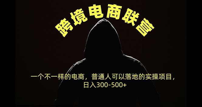 （20702期）跨境电商联营，一个不一样的电商，普通人可操作日入300-500+-赛德副业库