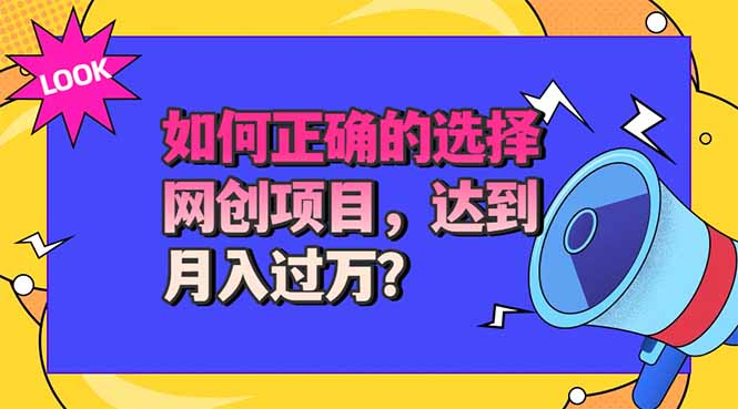 (20234期)选择大于努力!选对项目才能实现月入过万,才能避免成为绿油油的韭菜-赛德副业库
