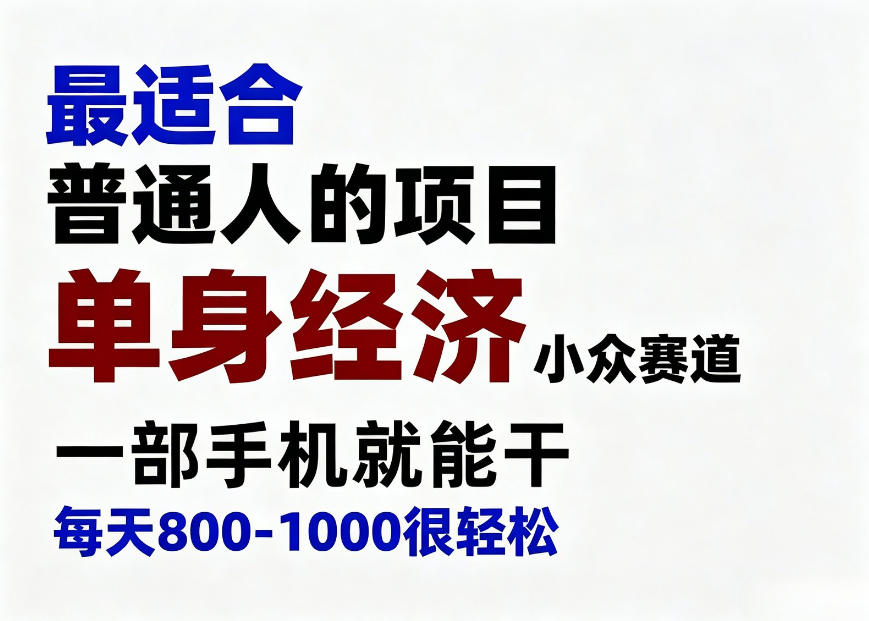 身经济小众赛道，一部手机就能干，每天搞个800-1000很轻松，最适合普通人的项目【揭秘】-赛德副业库