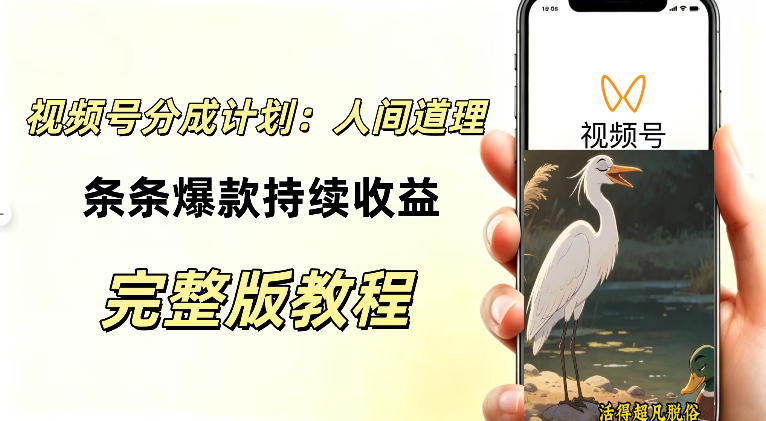 视频号新玩法之AI动漫画风励志视频，不用会画画、不用拍摄，持续化收益，详细拆解-赛德副业库