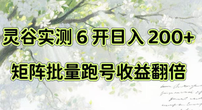 一台电脑就能做！灵谷实测6开日入200+，矩阵批量跑号收益翻倍【揭秘】-赛德副业库