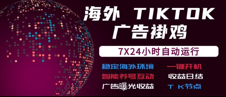 海外TikTok挂G流量变现,7X24自动运行,广告曝光收益,收益日结【揭秘】-赛德副业库