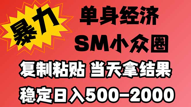 (21205期)26年 最新小众情感赛道,手机操作,十分钟见收益,小白也能当天上手,全程复制粘贴模板即可,稳定日入1k+-赛德副业库