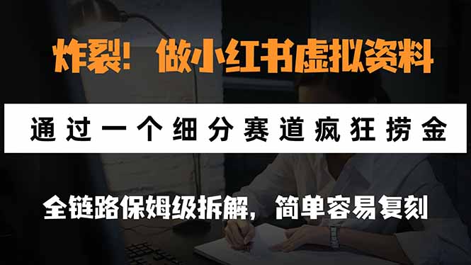 (21206期)炸裂!做小红书虚拟资料,通过一个细分赛道疯狂捞金,全链路保姆级拆解,简单容易复刻-赛德副业库