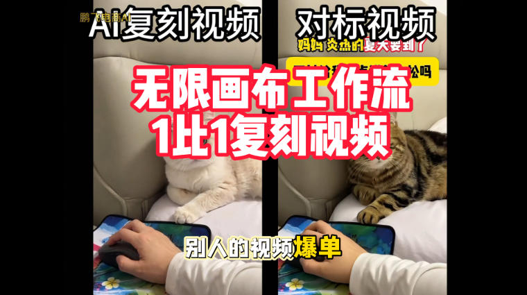 宠物带货视频复刻,无限画布工作流1比1,不用拍摄、不用布景、不用真人出镜,几分钟就能做出一条专业带货视频-赛德副业库