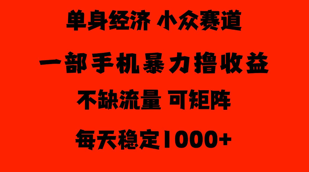26年暴力单身经济，稳定日入500-1k，不缺流量，流量极大，冷门小众赛道，门槛低小白轻松上手【揭秘】-赛德副业库