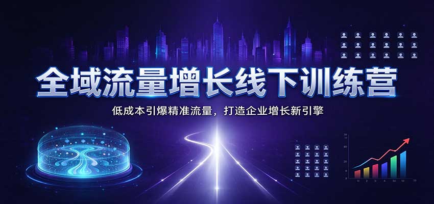 全域流量增长线下训练营：低成本引爆精准流量，打造企业增长新引擎-赛德副业库