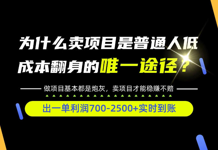 普通人如何靠互联网賺取自己的第一桶金！全类目实操型教学，看完你全都懂了！【揭秘】-赛德副业库